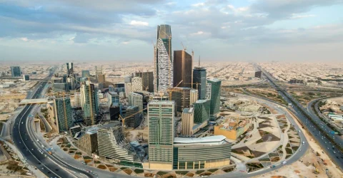 LLC vs. Branch Office in Saudi Arabia